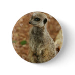 Baby Meerkat Round Button