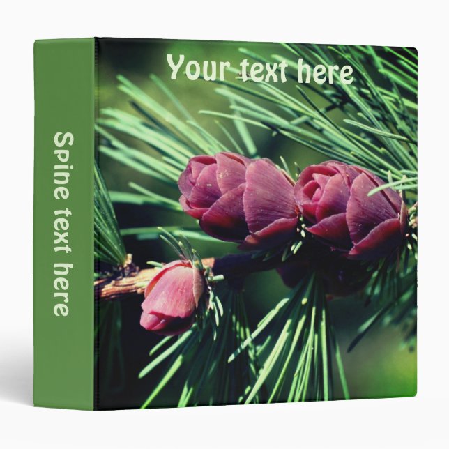 Baby Miniature Pine Cones Nature Personalized 3 Ring Binder (Front/Spine)