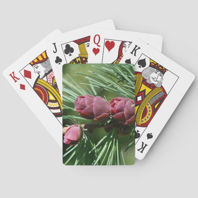 Baby Miniature Pine Cones Nature  Poker Cards (Back)
