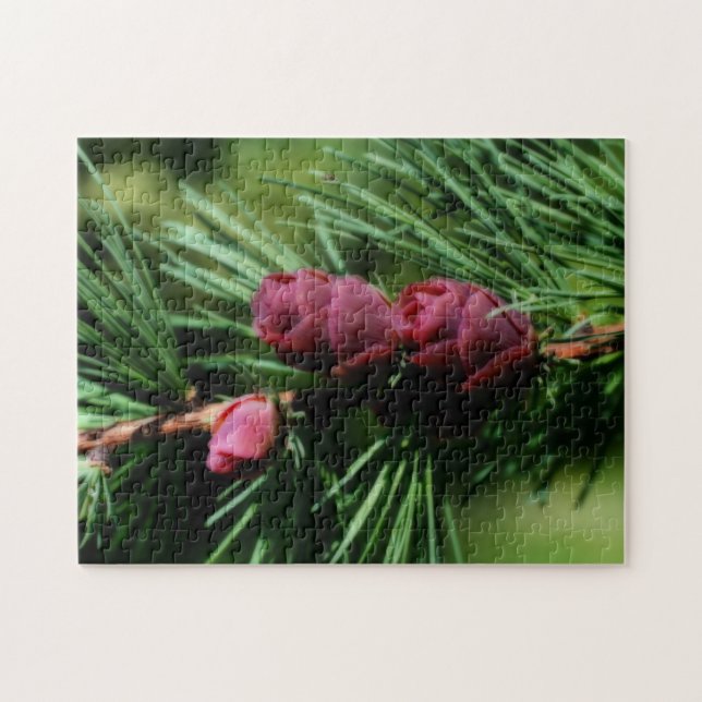 Baby Miniature Pine Cones Orton Effect Jigsaw Puzzle (Horizontal)