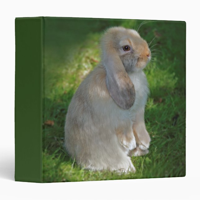 Baby Minilop Rabbit Binder (Front/Spine)