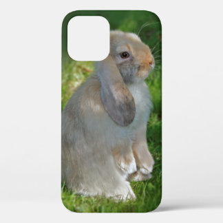 Baby Minilop Rabbit iPhone 12 Case