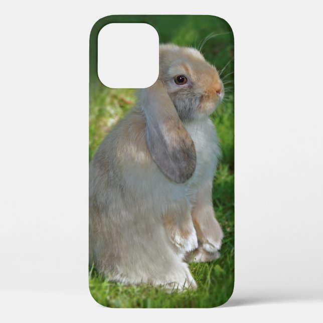 Baby Minilop Rabbit iPhone 12 Case (Back)