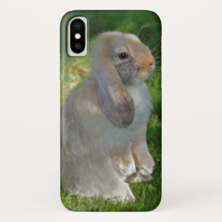 Baby Minilop Rabbit iPhone X Case