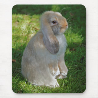 Baby Minilop Rabbit Mousemat Mouse Pad