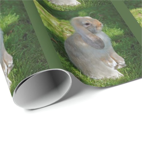 Baby Minilop Rabbit Wrapping Paper