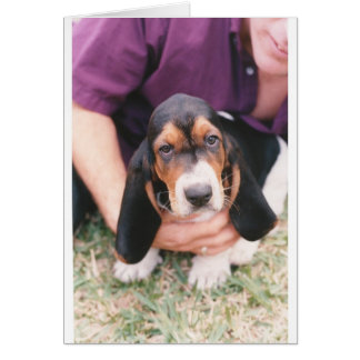 Baby Mocca Cards