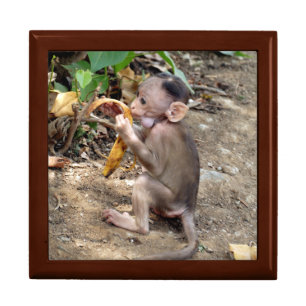 Baby Monkey Gift Box