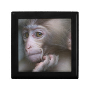 Baby Monkey Jewelry Box