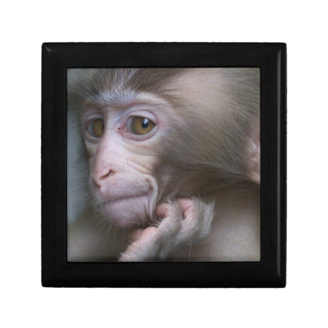Baby Monkey Jewelry Box (Front)