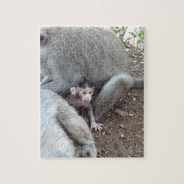 Baby Monkey Jigsaw Puzzle (Vertical)