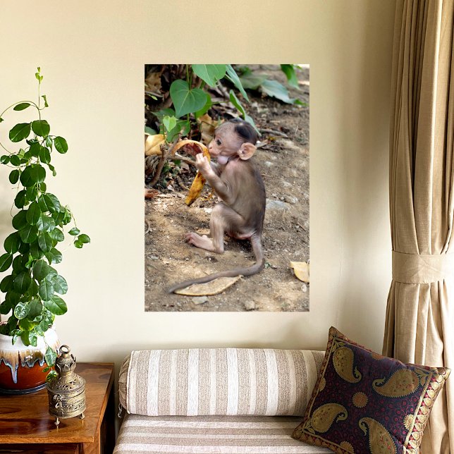 Baby Monkey Metal Print (Creator Uploaded)