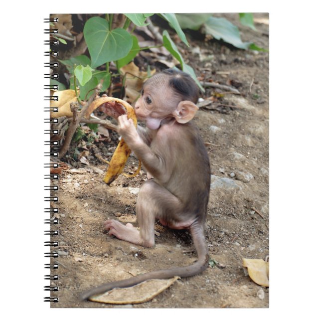 Baby Monkey Notebook (Front)