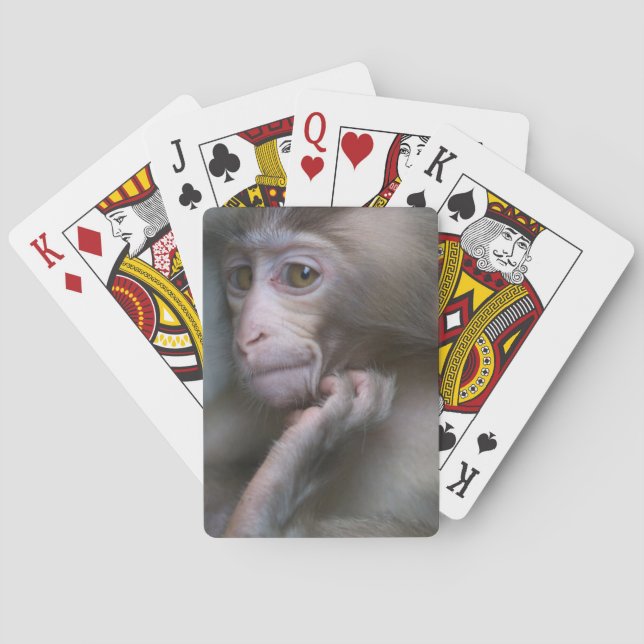 Baby Monkey Poker Cards (Back)