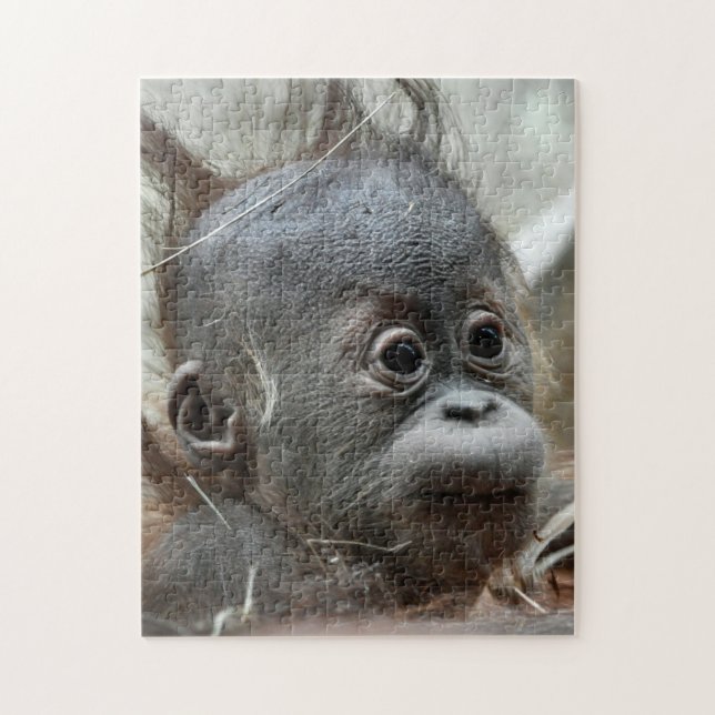 Baby Monkey  Puzzle (Vertical)