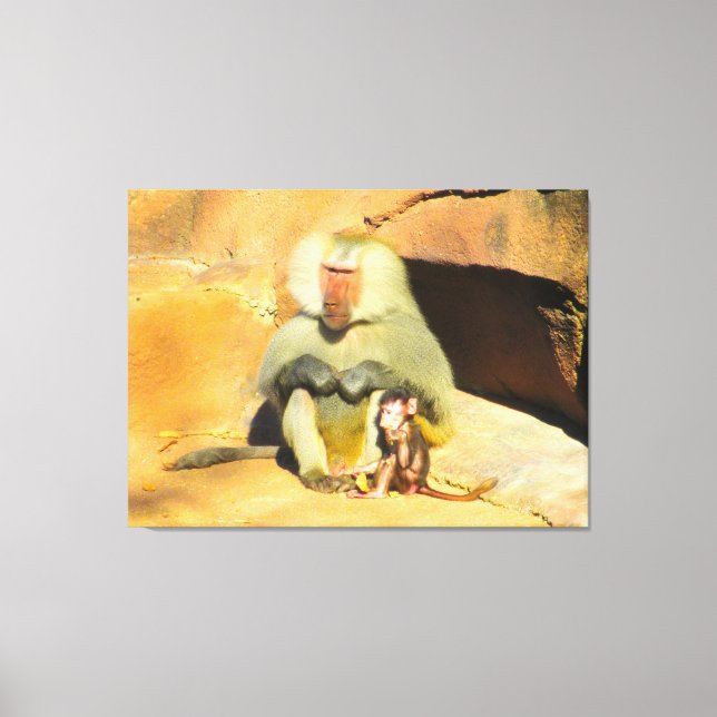 Baby Monkey with Mom Canvas Print (Front)