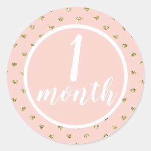 Monthly Baby Girl Stickers - 6 Results | Zazzle