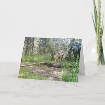 Baby Moose Birthday Card by Artnmore at Zazzle