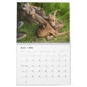 Baby Moose Calendar | Zazzle