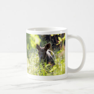 Cute Baby Moose Drinkware Zazzle