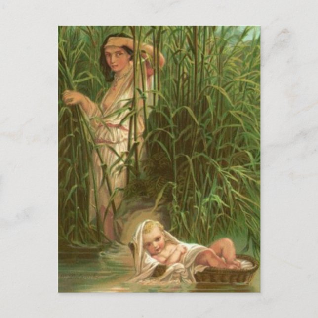 Baby Moses And The River Nile Postcard (Front)