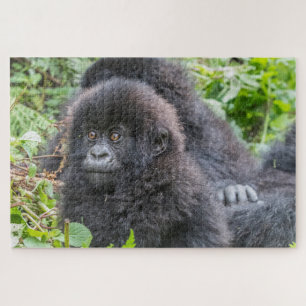 Baby Mountain Gorilla Jigsaw Puzzle
