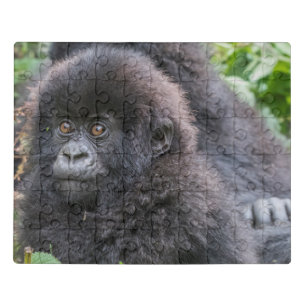 Baby Mountain Gorilla Jigsaw Puzzle