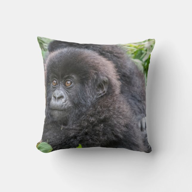Baby Mountain Gorilla Throw Pillow (Front)