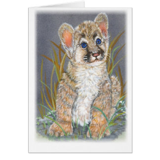 Baby mountain lion cards