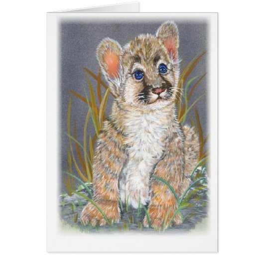 Baby mountain lion cards (Front)