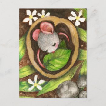 Baby Mouse Cute Animal Illustration Postcard by yarmalade at Zazzle