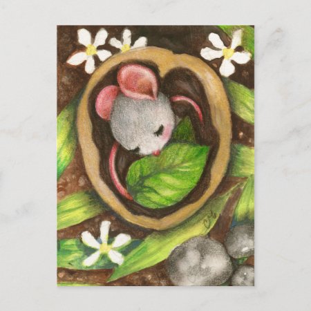 Baby Mouse Cute Animal Illustration Postcard