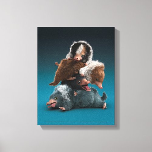 Baby NIFFLER Pile Canvas Print