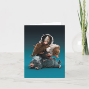 Baby NIFFLER™ Pile Card