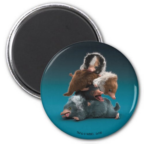 Baby NIFFLER Pile Magnet