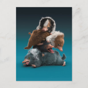 Baby NIFFLER™ Pile Postcard