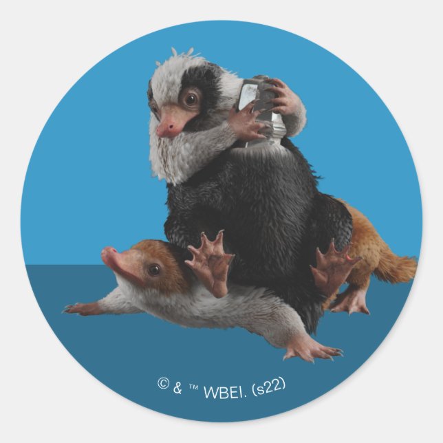 Baby Nifflers Find A Prize Classic Round Sticker (Front)