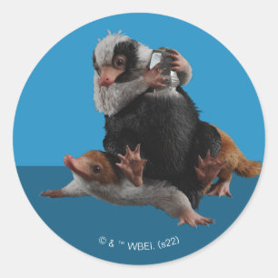 Baby Nifflers Find A Prize Classic Round Sticker