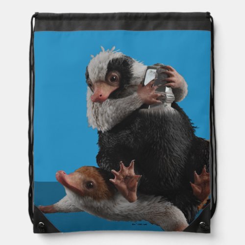 Baby Nifflers Find A Prize Drawstring Bag