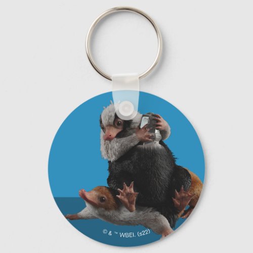Baby Nifflers Find A Prize Keychain