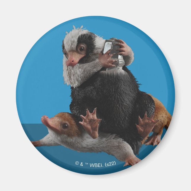 Baby Nifflers Find A Prize Magnet (Front)