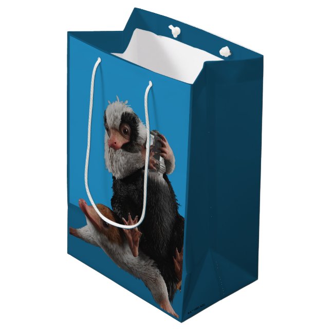 Baby Nifflers Find A Prize Medium Gift Bag (Front Angled)
