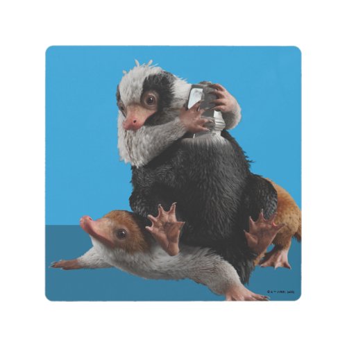 Baby Nifflers Find A Prize Metal Print