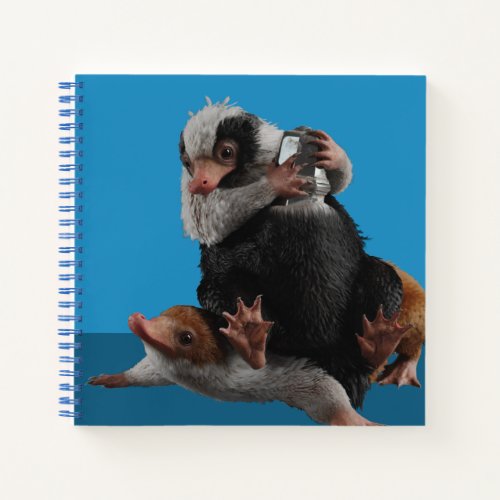 Baby Nifflers Find A Prize Notebook