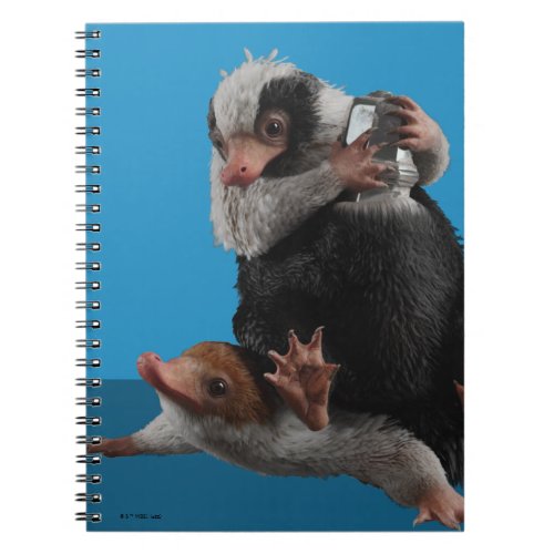 Baby Nifflers Find A Prize Notebook