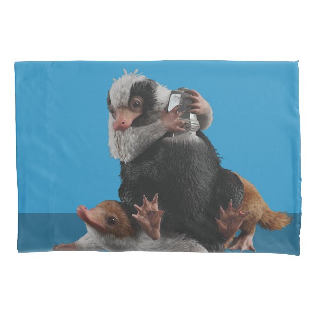 Baby Nifflers Find A Prize Pillow Case (Front)