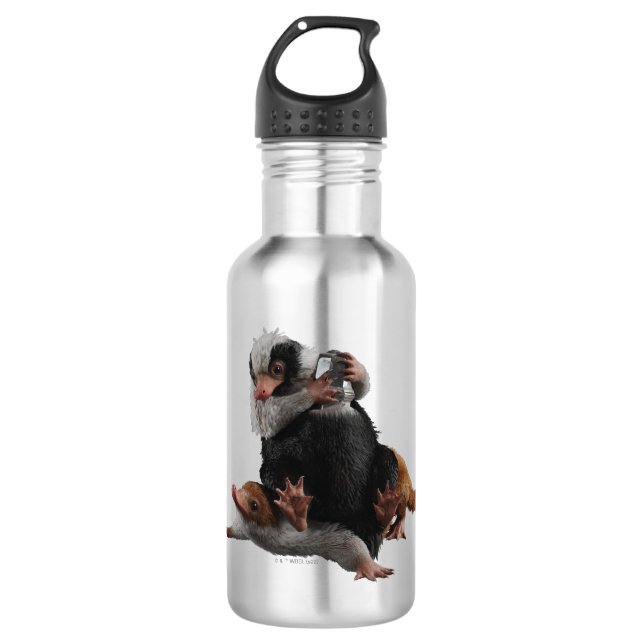 Baby Nifflers Find A Prize Stainless Steel Water Bottle (Front)