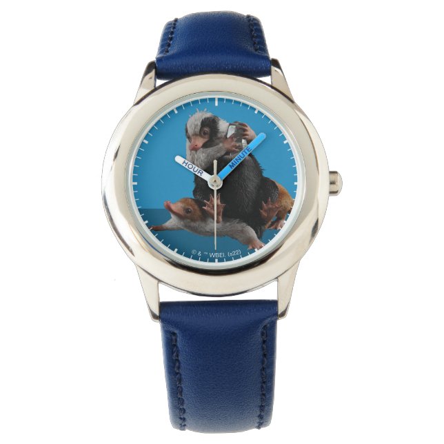 Baby Nifflers Find A Prize Watch (Front)