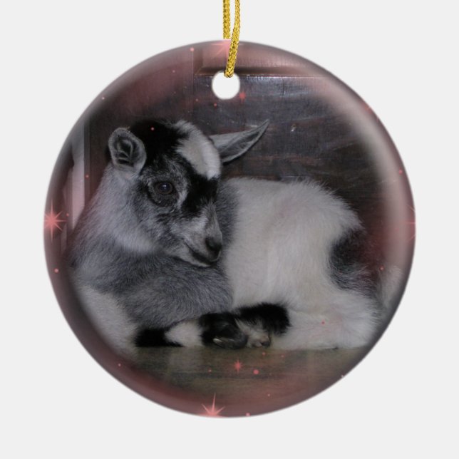 BABY NIGERIAN DWARF GOAT ORNAMENT (Front)