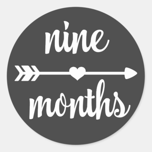 Baby Nine Months Milestone Stickers